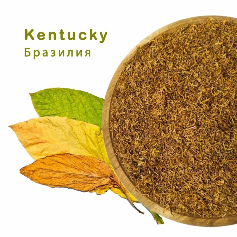 Тютюн Кентуккі (kentucky) імпорт